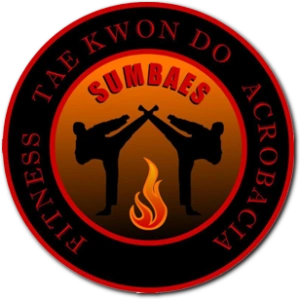 Logo sumbaes team